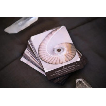 Oracle Cards Starlight Frequencies Sacred Scribe Publishing