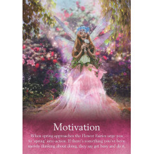 Hay House Oracle Of The Fairies Cards