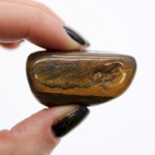 Ancient Wisdom Tiger's Eye - variegated stone (6 pcs. L size) Ancient Wisdom Tiger's Eye - variegated stone (6 pcs. L size)