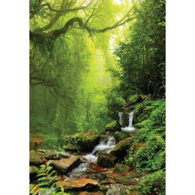 Hay House Notes From The Universe On Abundance Cards Hay House Notes From The Universe On Abundance Cards
