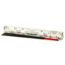 Incense Stamford Premium...