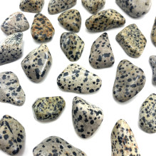 Ancient Wisdom Dalmatian Jasper (24 Pieces L Size)