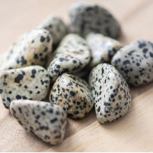 Ancient Wisdom Dalmatian Jasper (24 Pieces L Size)