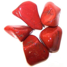 Ancient Wisdom Red Jasper (24 Pieces L Size)
