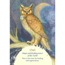 Findhorn Press Oracle Of The Birds Kortos