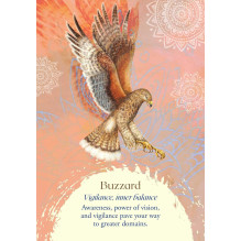 Findhorn Press Oracle Of The Birds Kortos