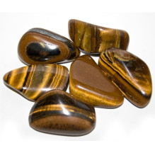 Ancient Wisdom Tiger's Eye (gold) (12 pcs. size M)