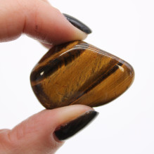 Ancient Wisdom Tiger's Eye (gold) (12 pcs. size M)