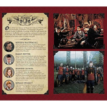 Pocket Notebook - Harry Potter: Gryffindor Insight Editions Pocket Notebook - Harry Potter: Gryffindor Insight Editions