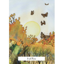 Hay House The Witches Wisdom Tarot Cards (Standard Edition) Hay House The Witches Wisdom Tarot Cards (Standard Edition)