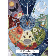Hay House The Witches Wisdom Tarot Cards (Standard Edition) Hay House The Witches Wisdom Tarot Cards (Standard Edition)