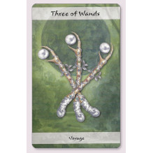 Tarot Cards Lunar Cico Books