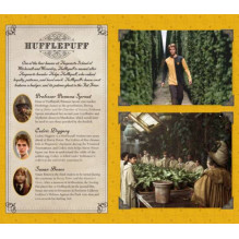 Pocket Notebook - Harry Potter: Hufflepuff Insight Editions Pocket Notebook - Harry Potter: Hufflepuff Insight Editions