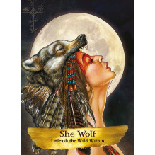 Hay House Angels And Ancestors Pocket Oracle Cards