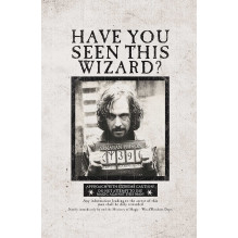 Harry Potter Poster and Paperback Collection (set of 3) Insight Editions Harry Potter Poster and Paperback Collection (set of 3) Insight Editions