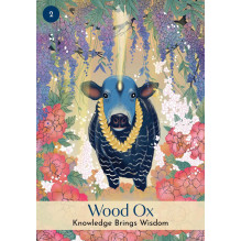 Hay House Chinese Five Elements Oracle Cards