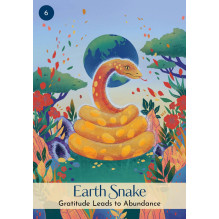 Hay House Chinese Five Elements Oracle Kortos