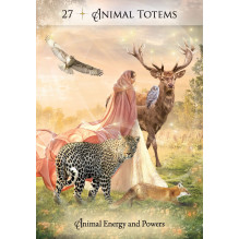 Hay House Energy Spirit Oracle Cards