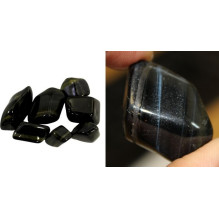 Blue Tiger Eye (24 Pieces Size L) Ancient Wisdom