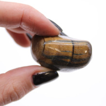 Ancient Wisdom Tiger Eye (mottled) (12 pcs. Size M)