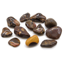 Ancient Wisdom Picture Nguni Stone (12 Pieces, Size M)