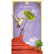 Taro Kortos Hay House The Tarot Of Curious Creatures