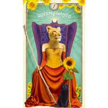 Tarot Cards Hay House The Tarot Of Curious Creatures