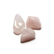 Lo Scarabeo Natural Rose...