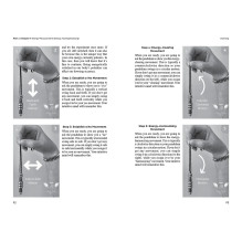 Schiffer Publishing Clarity Taro Kortos