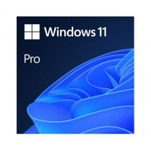 Programinė Įranga - Microsoft Windows 11 Pro 64GB Atmintis 4GB RAM 64-bit