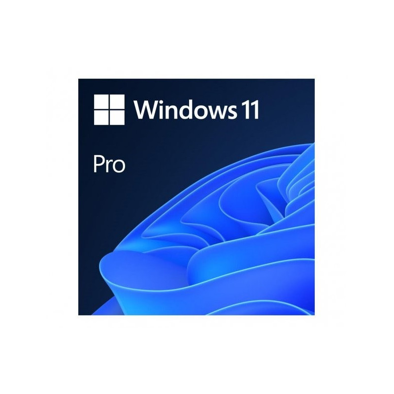 Programinė Įranga - Microsoft Windows 11 Pro 64GB Atmintis 4GB RAM 64-bit
