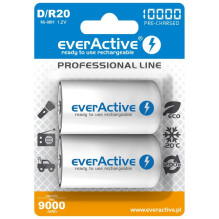 Battery - Everactive R20 /...