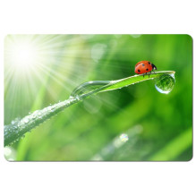 Mouse Pad - Esperanza EA133 Multicolor Mouse Pad - Esperanza EA133 Multicolor