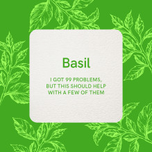 Rockpool Essential Oil Wellness Cards