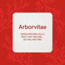 Rockpool Essential Oil Wellness Kortos