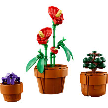 Konstruktorius - LEGO Icons Mini Pflanzen 10329 380x260x55 mm Žalia Raudona