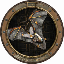 Blue Angel Maxine Gadd's Zoologica: The Steampunk Oracle Kortos