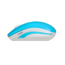 Computer Mouse - Loriini...