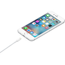 Laidas - Apple MXLY2ZM / A Lightning į USB 1M Įkrovimo Laidas