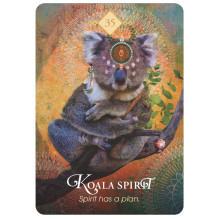 Hay House The Spirit Animal Oracle Kortos