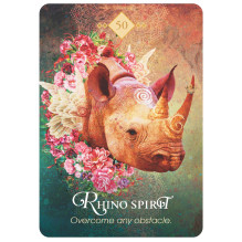 Hay House The Spirit Animal Oracle Cards