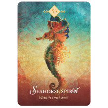 Hay House The Spirit Animal Oracle Cards