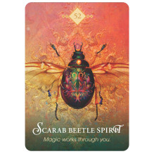 Hay House The Spirit Animal Oracle Cards