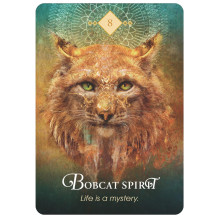 Hay House The Spirit Animal Oracle Cards