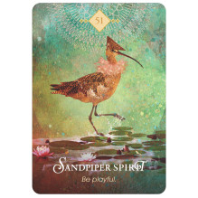 Hay House The Spirit Animal Oracle Kortos