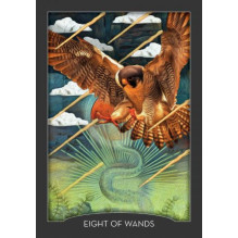 Hay House Guardian Of The Night Tarot Kortos
