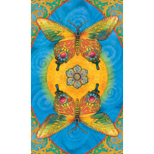 US Games Systems Chrysalis Tarot Cards and Book