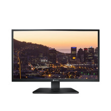 Video Surveillance Monitor...