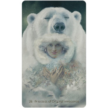 US Games Systems WITCH Woman in Total Control of Herself Oracle Cards and Guide