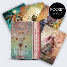 Oracle Cards in a Box The Spirit Animal Pocket Hay House